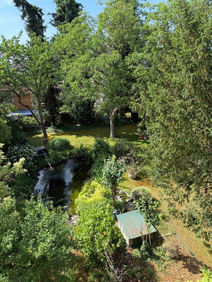 Blick in den großzügigen Garten
